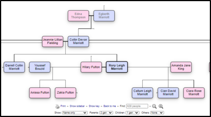 Default Tree